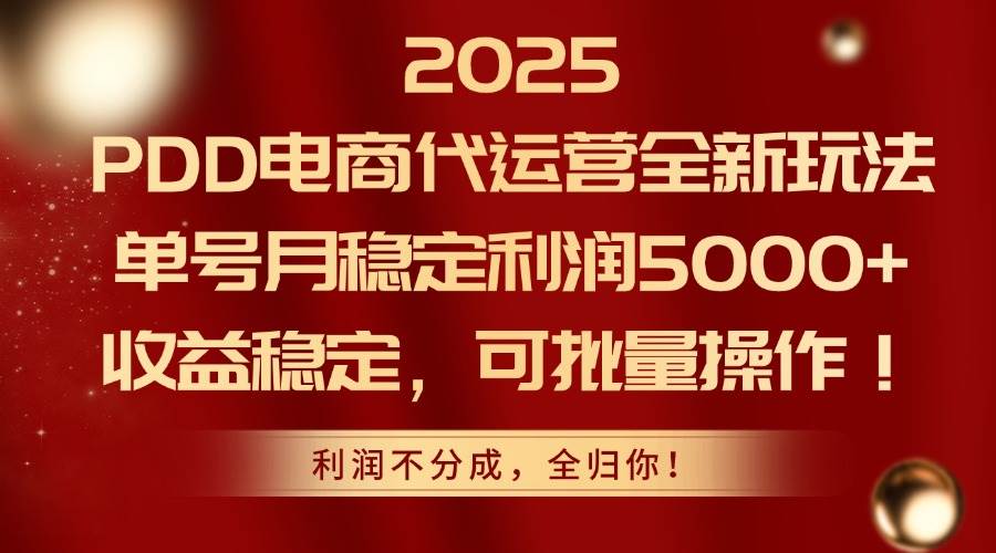 （14839期）2025PDD电商代运营全新玩法，单号月稳定利润5000+，收益稳定，可批量操作_76创客网